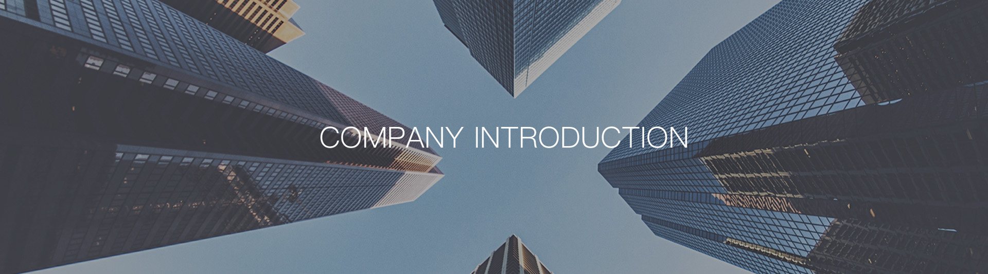 康丹森全預混冷凝鍋爐